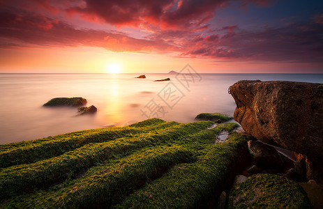 绿苔海岸风光背景