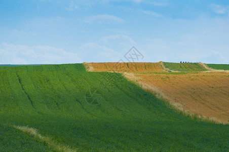 新疆农业多元化素材背景图片
