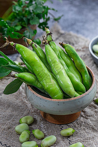 新鲜蔬菜蚕豆高清图片