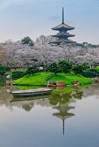 樱花季的武汉樱园风光美景图片
