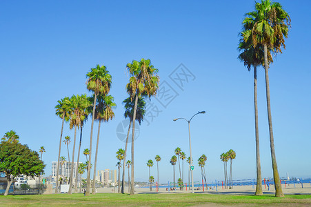 美国加州滨海公园背景图片