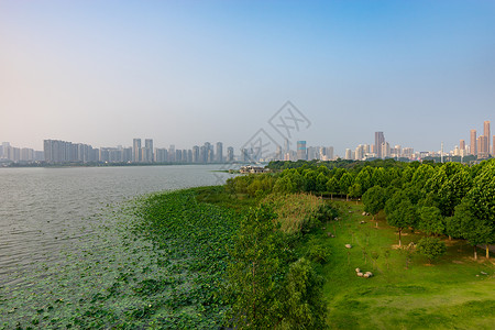 市容市貌武汉沙湖自然生态风光背景