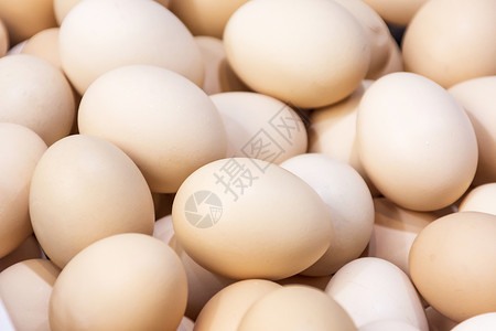 鸡蛋背景背景图片