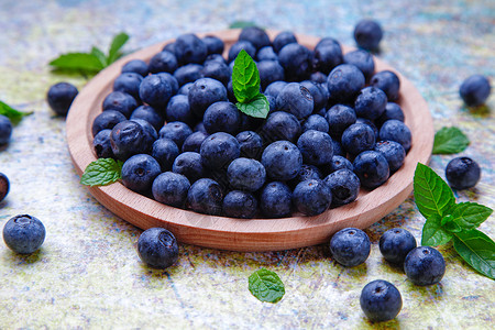 野生蓝莓背景图片