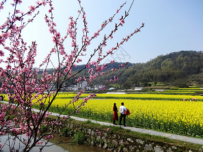 皖南农村春游 背景图片