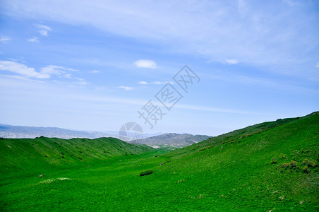 新疆夏尔希里风景区图片