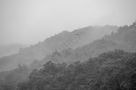 杭州西湖保椒山背景图片