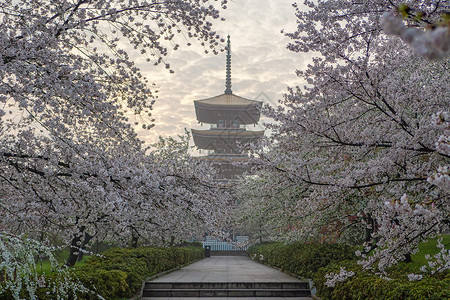 樱花园日式建筑景观图片