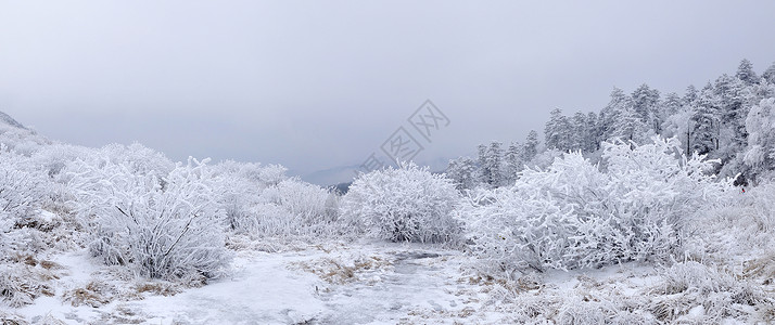 秦岭雪秦岭山冬天雾凇背景