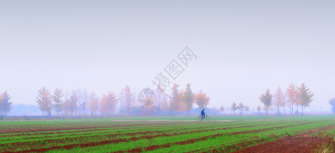 雾中田园图片