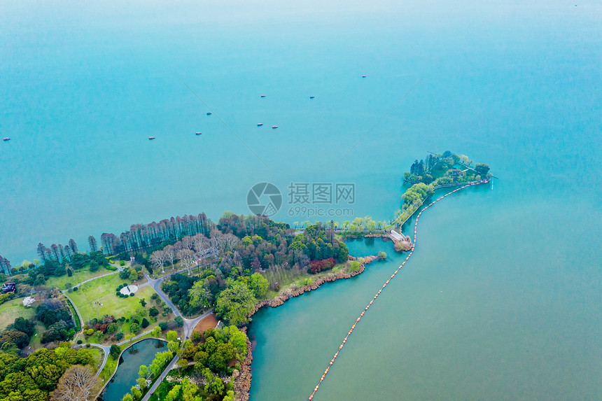 武汉东湖听涛景区老鼠尾图片