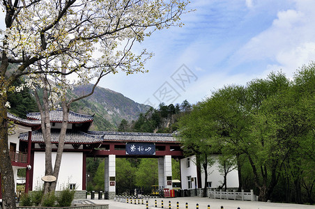 巍峨的高山汉中紫柏山风景背景