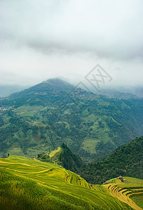 荣辱榜贵州加榜梯田背景