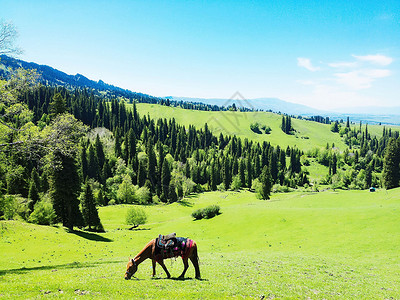 新疆那拉提草地背景图片