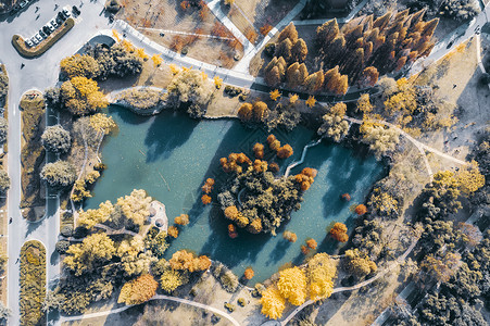 湖水俯视航拍秋天的公园背景