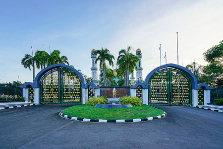 棕榈树象征文莱皇宫大门背景