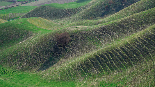 新疆伊犁高山波浪草甸背景图片