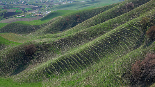 新疆伊犁高山波浪草甸背景图片