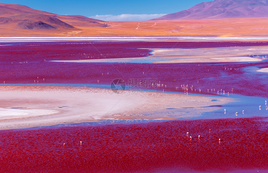 玻利维亚乌尤尼红湖景色图片