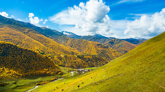 乌格邦格鲁吉亚乌树故里村落背景