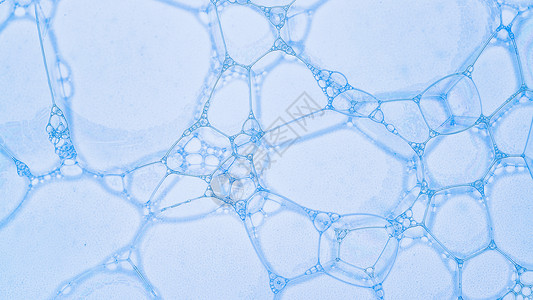 肥皂泡透明肥皂泡泡背景