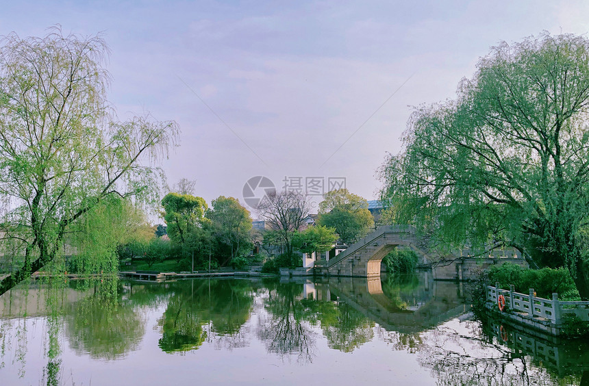 上海辰山植物园图片