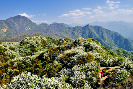 自然风光山间小路白小路高清图片