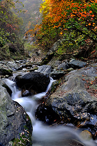 金龙峡秋景风光图片