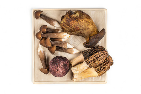 菌菇拼盘天然鲜松茸高清图片