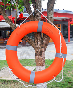 救生设备岸边挂在树上的救生圈背景