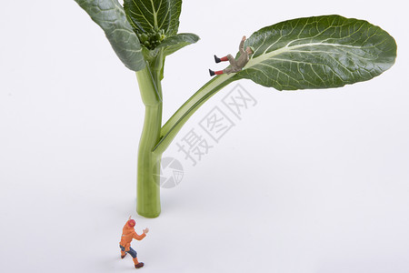 蔬菜创意小人高清图片