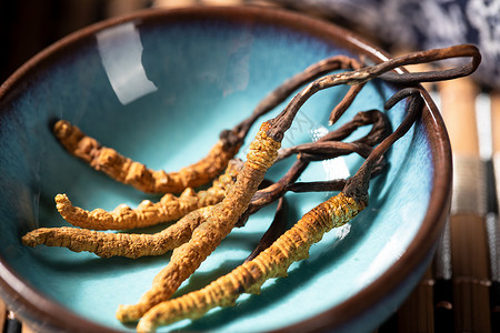 冬虫夏草灵芝虫草高清图片