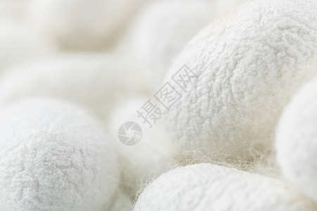 天然蚕茧羊毛质地高清图片