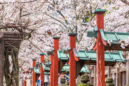 日本奈良冰室神社图片