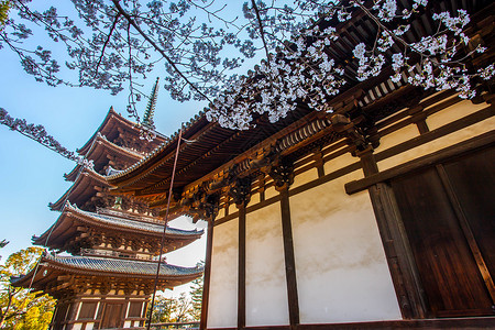 长沙开福寺日本奈良兴福寺背景