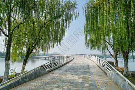 合肥桥安徽翡翠湖景区背景