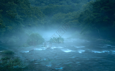 溪流晨雾图片