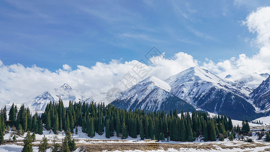 库恰尔兹新疆伊犁乔尔玛雪山风光背景