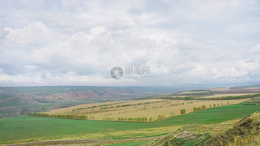 新疆伊犁高山草甸草原图片