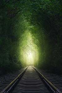 铁路隧道素材爱情森林隧道背景