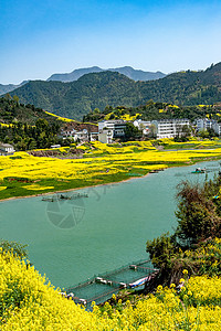 徽州桃花春天的古徽州新安江山水画廊万亩油菜花开背景