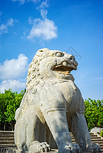 威严狮子蓝天下陕西乾陵景区的石狮子背景