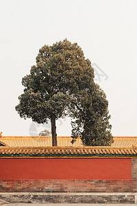 北京故宫皇家园林背景图片