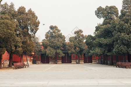 东方红广场北京故宫皇家园林背景