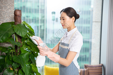女性保洁给绿植浇水背景图片