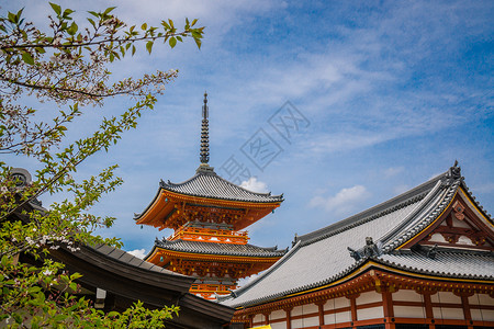 旅游旺季日本京都清水寺春季背景