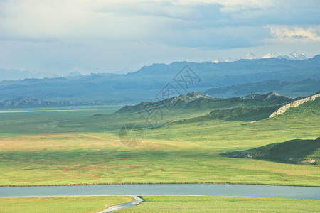 新疆巴音布鲁克大草原背景