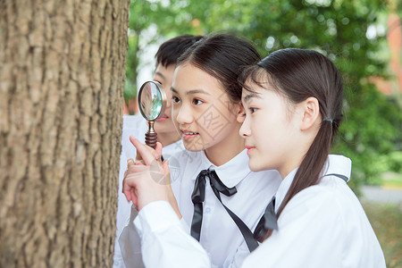 观察露珠的女孩初中生放大镜观察背景