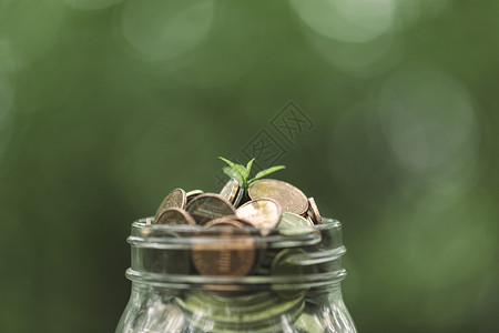 绿色透明素材储蓄理财理财背景