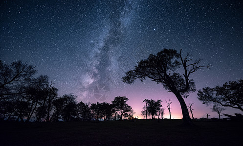 夜景树星空银河背景